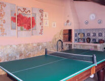 table, furniture, indoor, tennis, table-tennis table